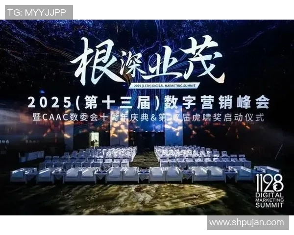 张帆的成长之路:从普通学生到行业领军人物的奋斗历程与思考